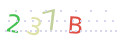 CAPTCHA 4